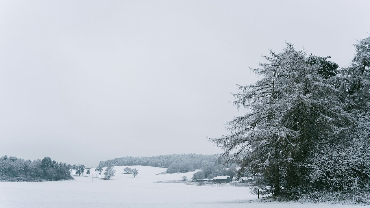 Главная картинка новости: Синоптики озвучили измененный прогноз погоды в Калужской области на 1 декабря