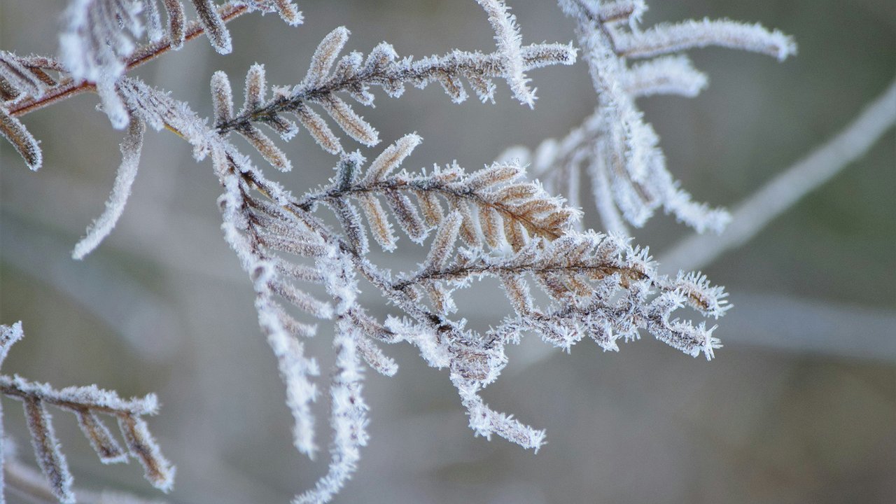 Главная картинка новости: Синоптики изменили данные: обновленный прогноз погоды в Калужской области на 3 декабря