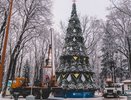 В Калуге в парке культуры и отдыха уже установили первую елку 