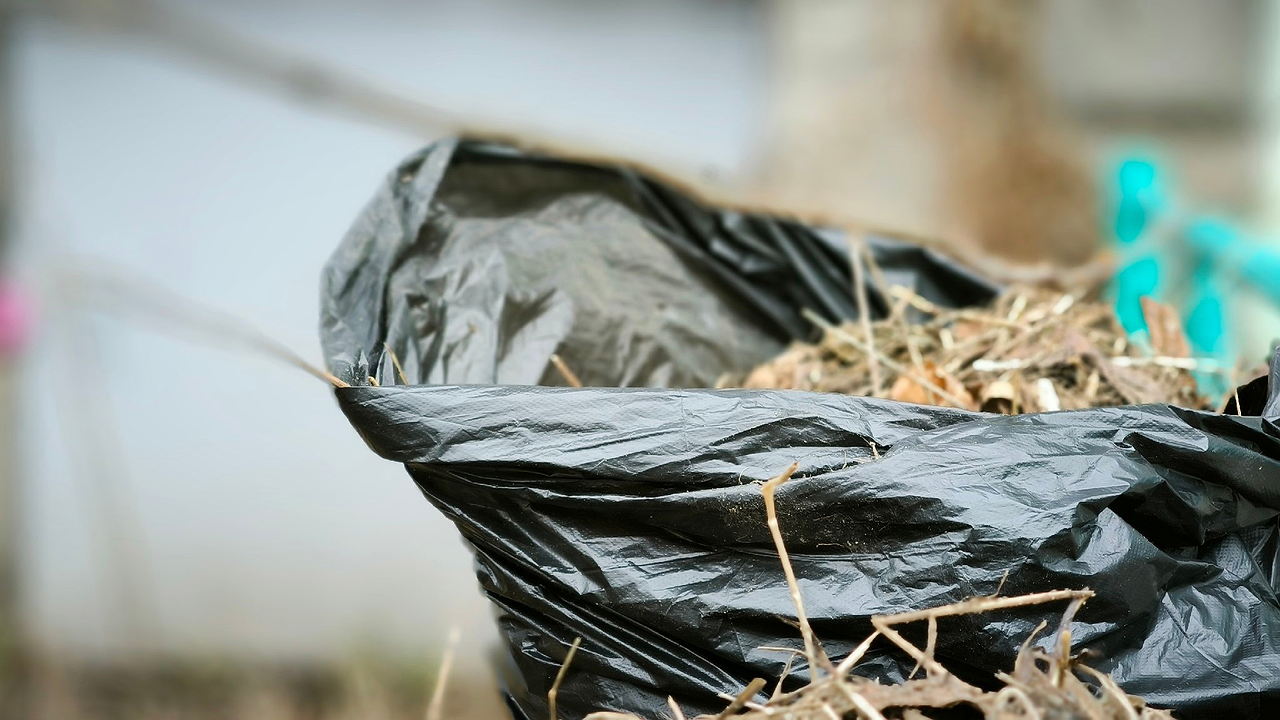 Главная картинка новости: Обнинцы собрали больше 2000 кубометров мусора