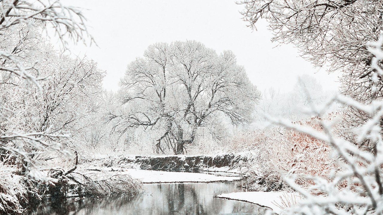 Главная картинка новости: В Калужской области резко изменится погода: вот что говорят синоптики