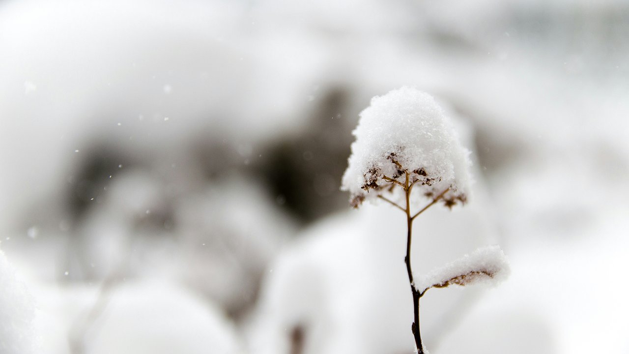 Главная картинка новости: С января начнется то, чего не было с 1820 года: синоптики призывают готовиться к настоящему климатическому безумию