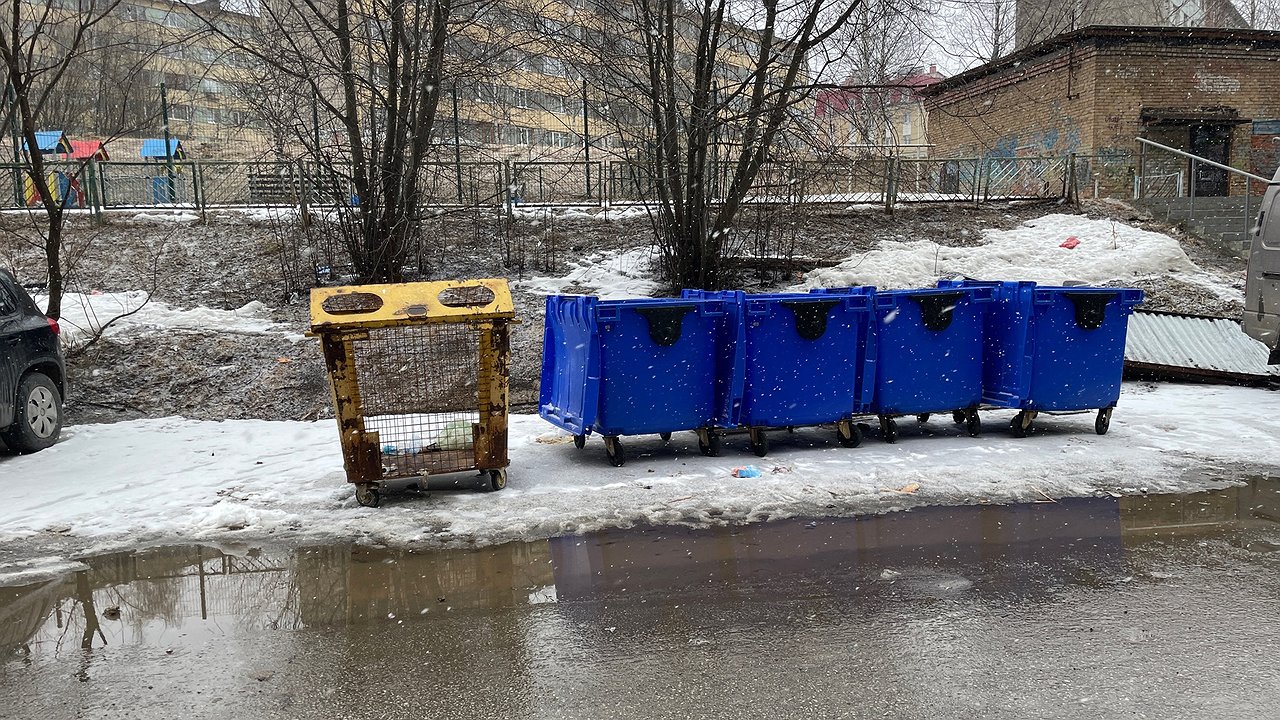 Главная картинка новости: Проблемы с вывозом мусора в Калуге: причины и пути решения