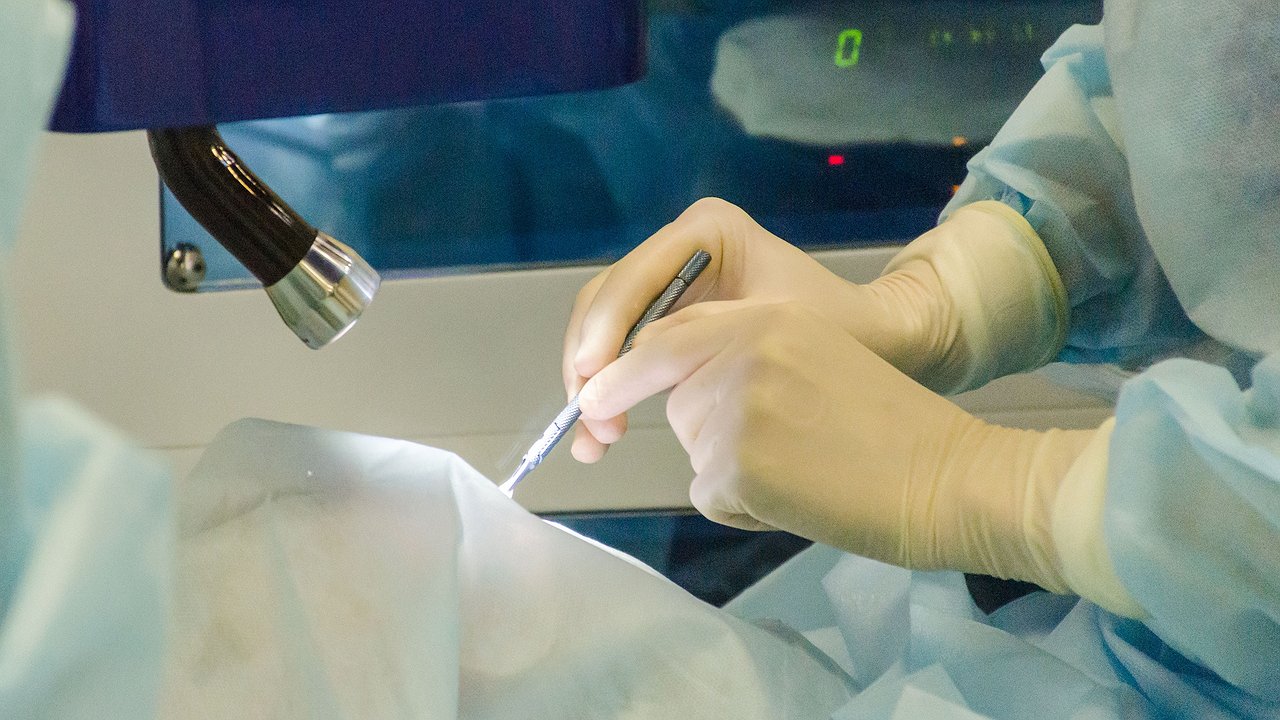 Главная картинка новости: Доступность медицинских услуг в Калуге: что изменилось за последний год