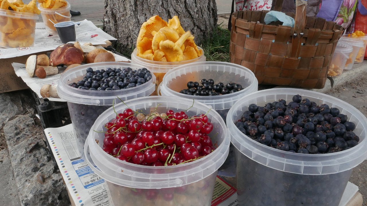 Главная картинка новости: В Калуге усилят надзор за нелегальными продавцами 