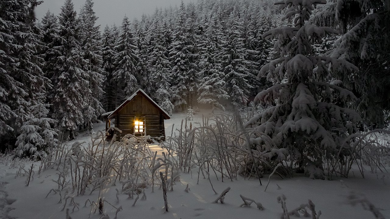 Главная картинка новости: Аномальный холод ждёт россиян с 26 по 31 декабря: Роман Вильфанд опубликовал предновогодний прогноз погоды