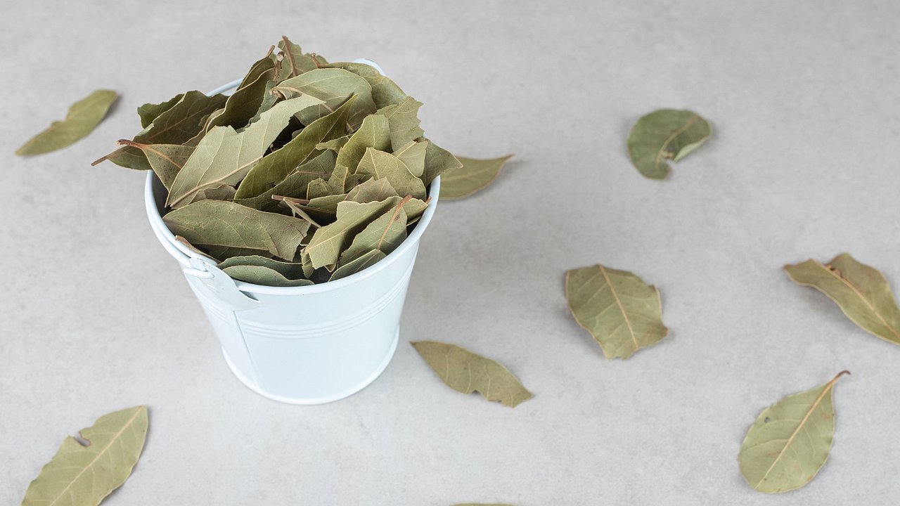 Главная картинка новости: Первые заморозки встречаю лавровым листом на батарее: вот что происходит — родные балдеют от эффекта