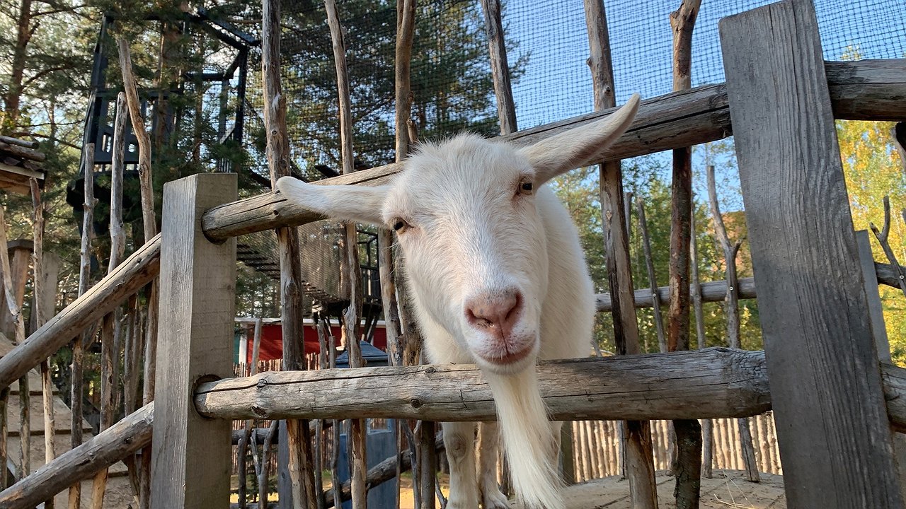 Главная картинка новости: Жительница Калужской области получила 7 лет колонии на Новый год