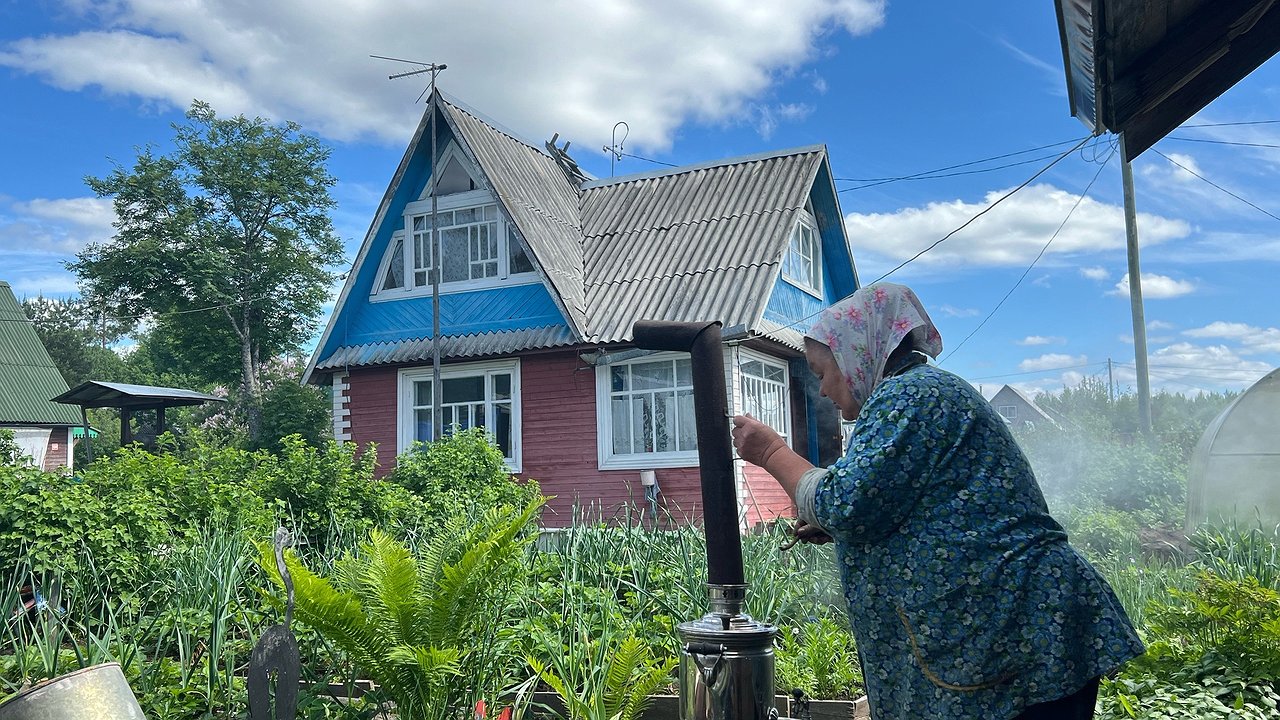 Главная картинка новости: В Госдуме рассказали о возможности понижения пенсионного возраста