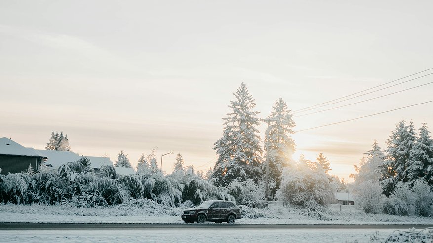 Главная картинка новости: В конце января будут лишать прав на 1,5 года: ГИБДД начнёт поиск трёх типов водителей