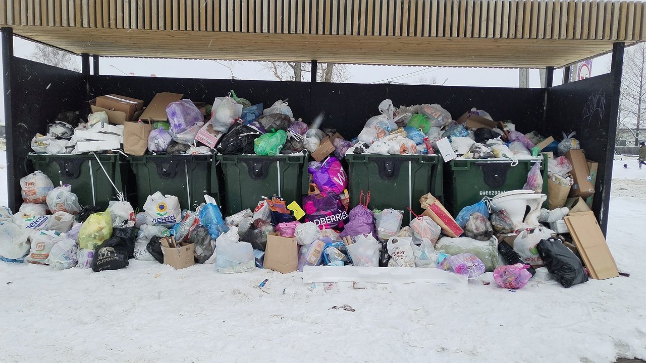 Главная картинка новости: В Калуге на 29 мусорных площадках установили камеры 