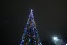Миниатюра новости: Стало известно, когда в Калуге демонтируют новогодние елки 
