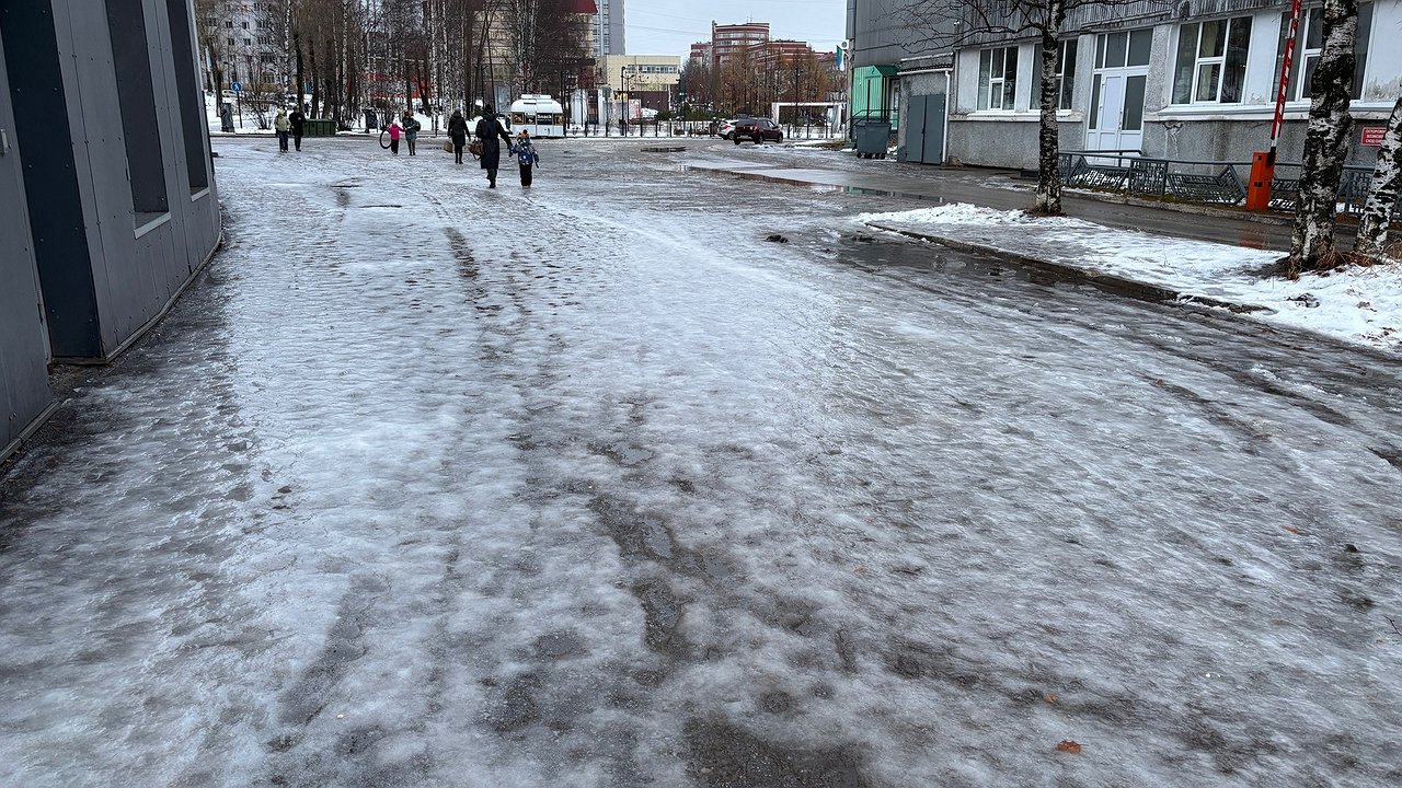 Главная картинка новости: Плюсовая температура и гололед: синоптики рассказали о погоде в Калужской области на 20 января 