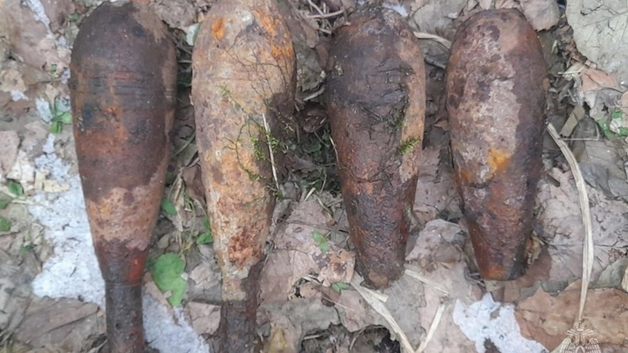 Главная картинка новости: В Тарусском районе нашли минометные мины времен Великой Отечественной войны 