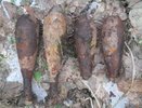 В Тарусском районе нашли минометные мины времен Великой Отечественной войны 
