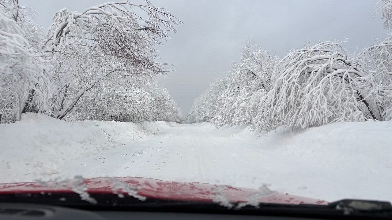 Главная картинка новости: В феврале в Калужскую область придет зима 
