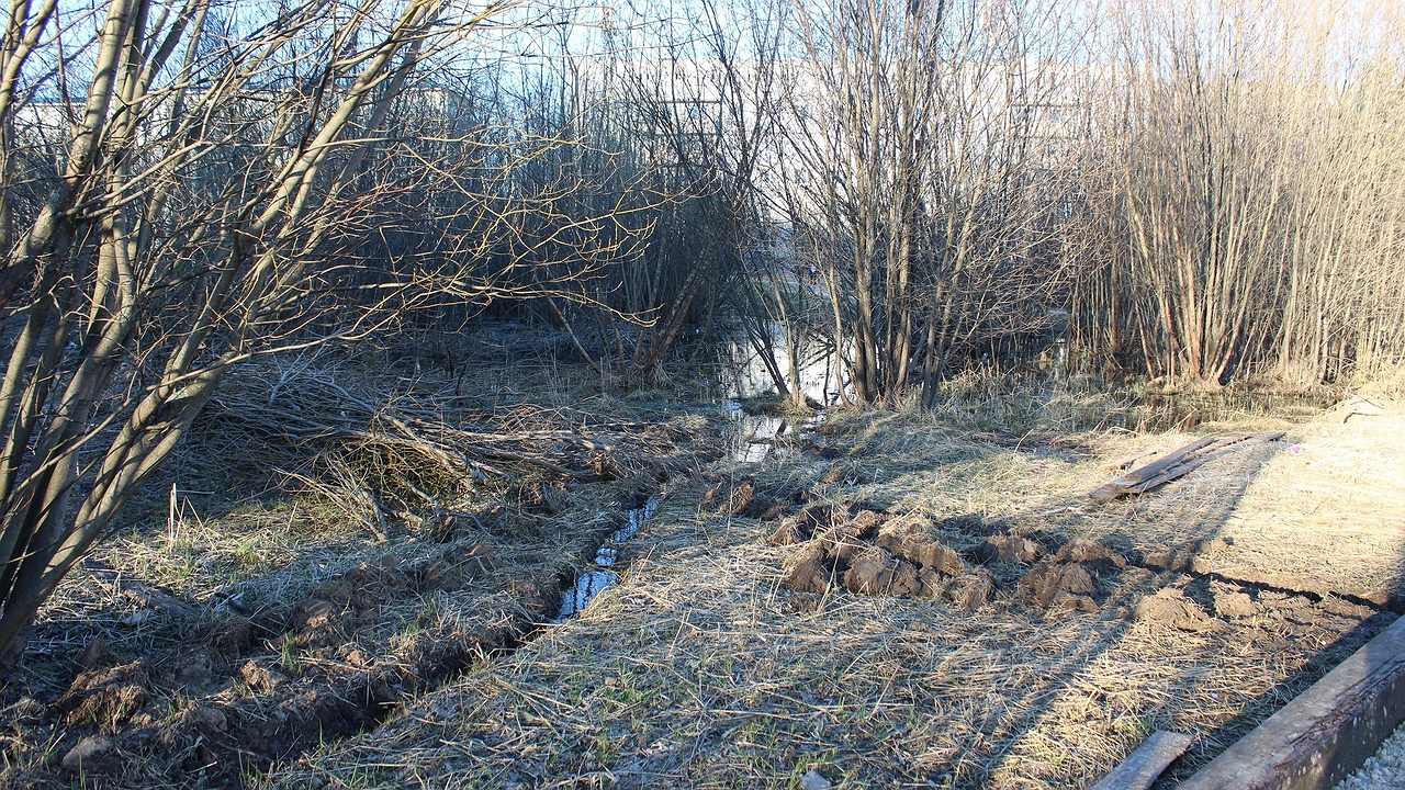 Главная картинка новости: В Калуге вынесли приговор за мошенничество с землей