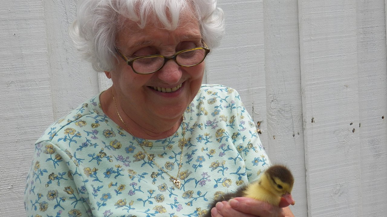 Главная картинка новости: Пенсионеров, которым от 58 до 84 лет, ждет большой сюрприз с 14 февраля