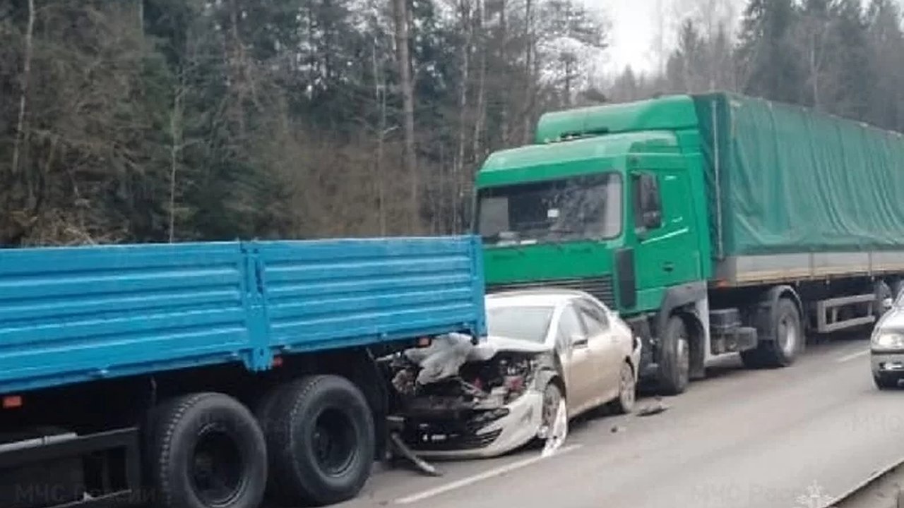 Главная картинка новости: На Калужской трассе столкнулись три большегруза и две "легковушки": есть пострадавшие 
