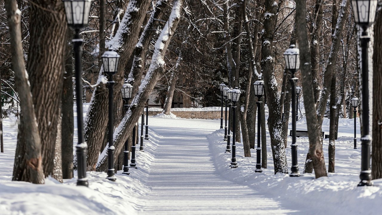 Главная картинка новости: Февраль ещё почудит: синоптики удивили прогнозом погодных аномалий на последний месяц зимы