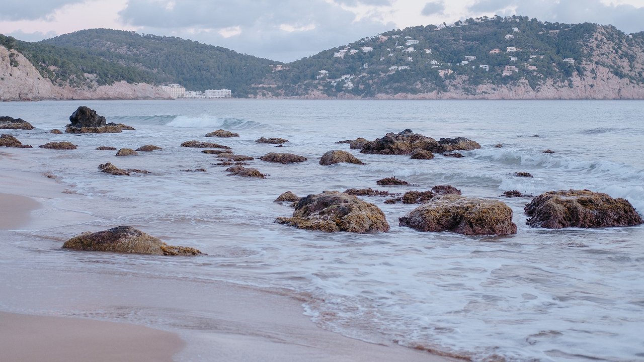 Главная картинка новости: «Море грязное, люди мерзкие»: честный отзыв туристов об отдыхе на Черноморских курортах Кубани