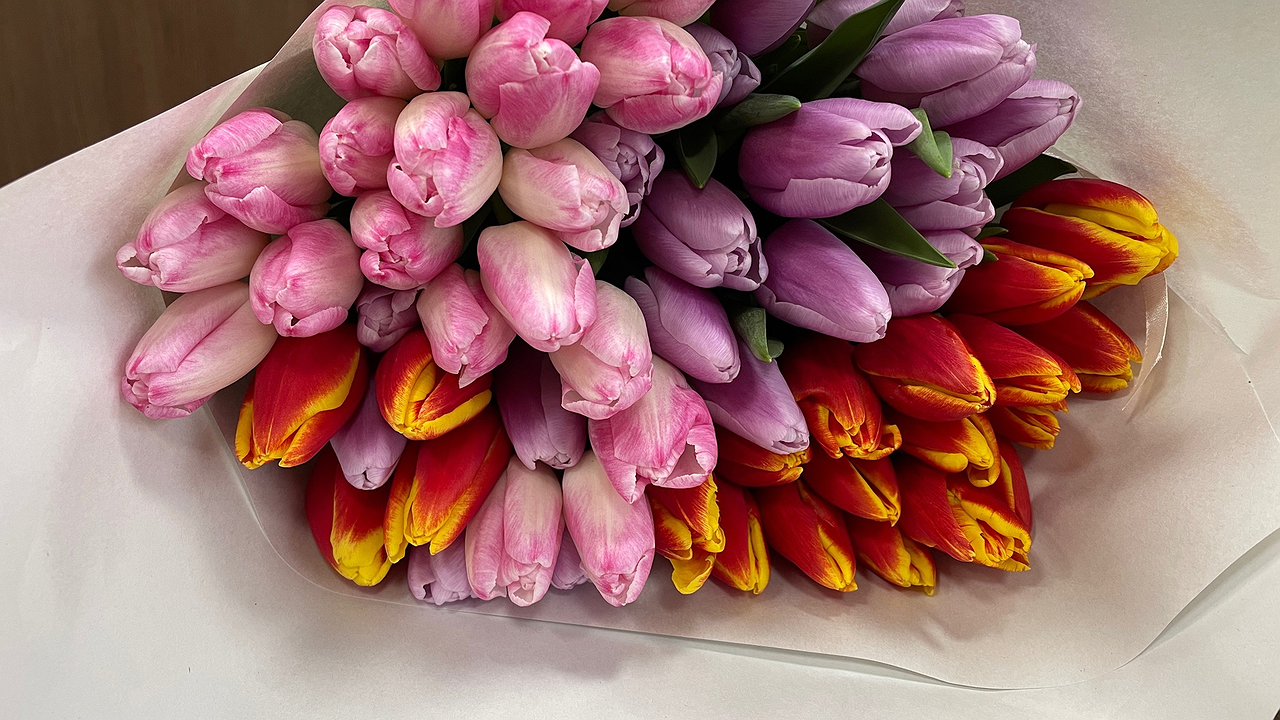 Главная картинка новости: Калужская область попала в число лидеров по выращиванию цветов