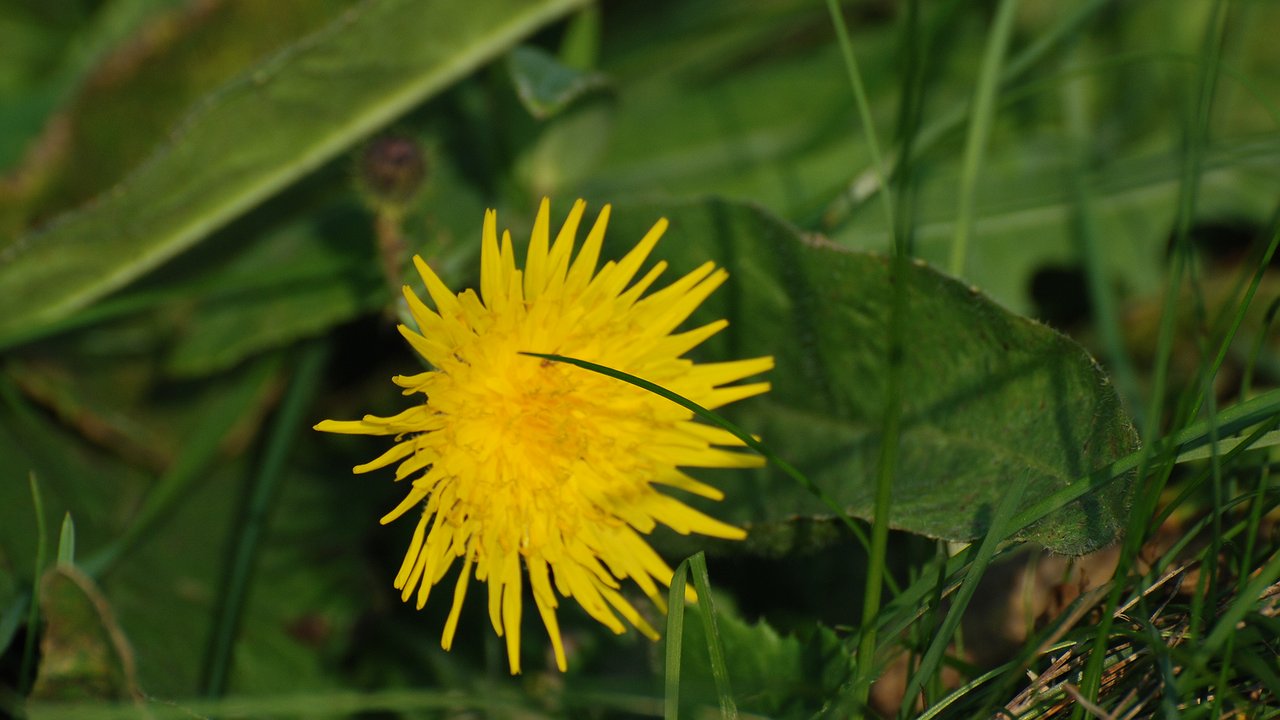 Главная картинка новости: Аномальная жара наступит после 19 марта: лето начнется на два месяца раньше