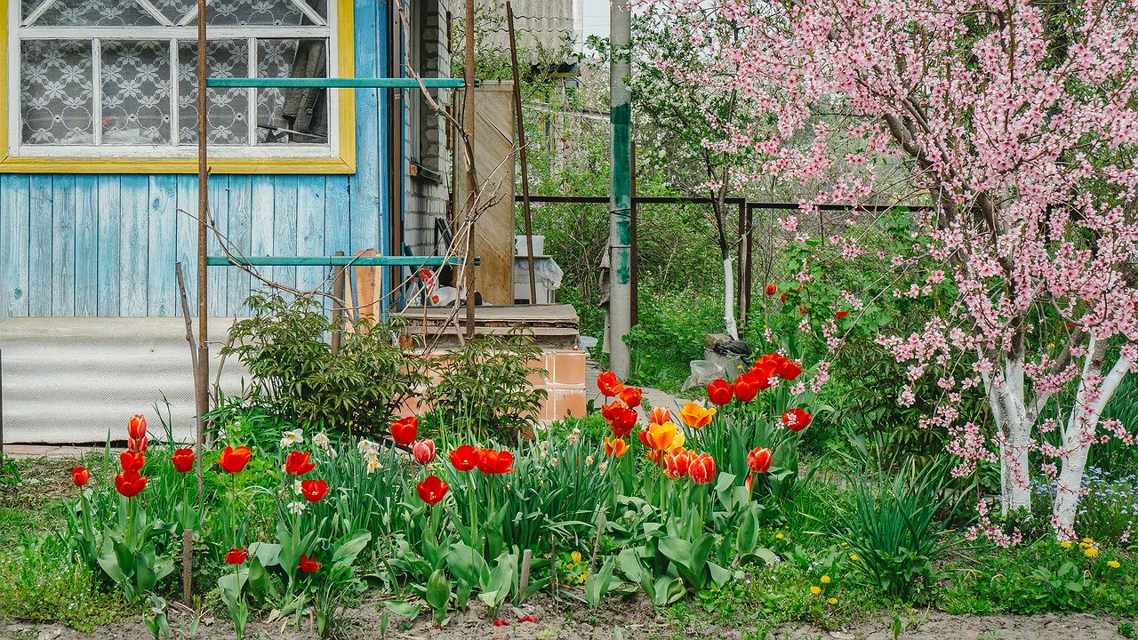 Главная картинка новости: Аномальная жара в марте и ледяной май: синоптики обновили прогноз погоды на весну 2025 года