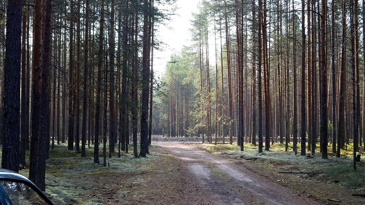 Главная картинка новости: Холодный май и +30 в июле. Синоптики дали новый прогноз погоды на весну-лето 2025 года