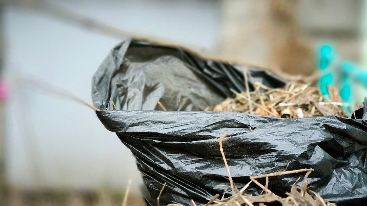 Главная картинка новости: В Калуге объявлен весенний марафон чистоты