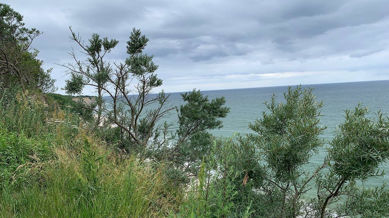 Главная картинка новости: Зима не отступает: аномальные морозы и снег в апреле — синоптики о погоде весной