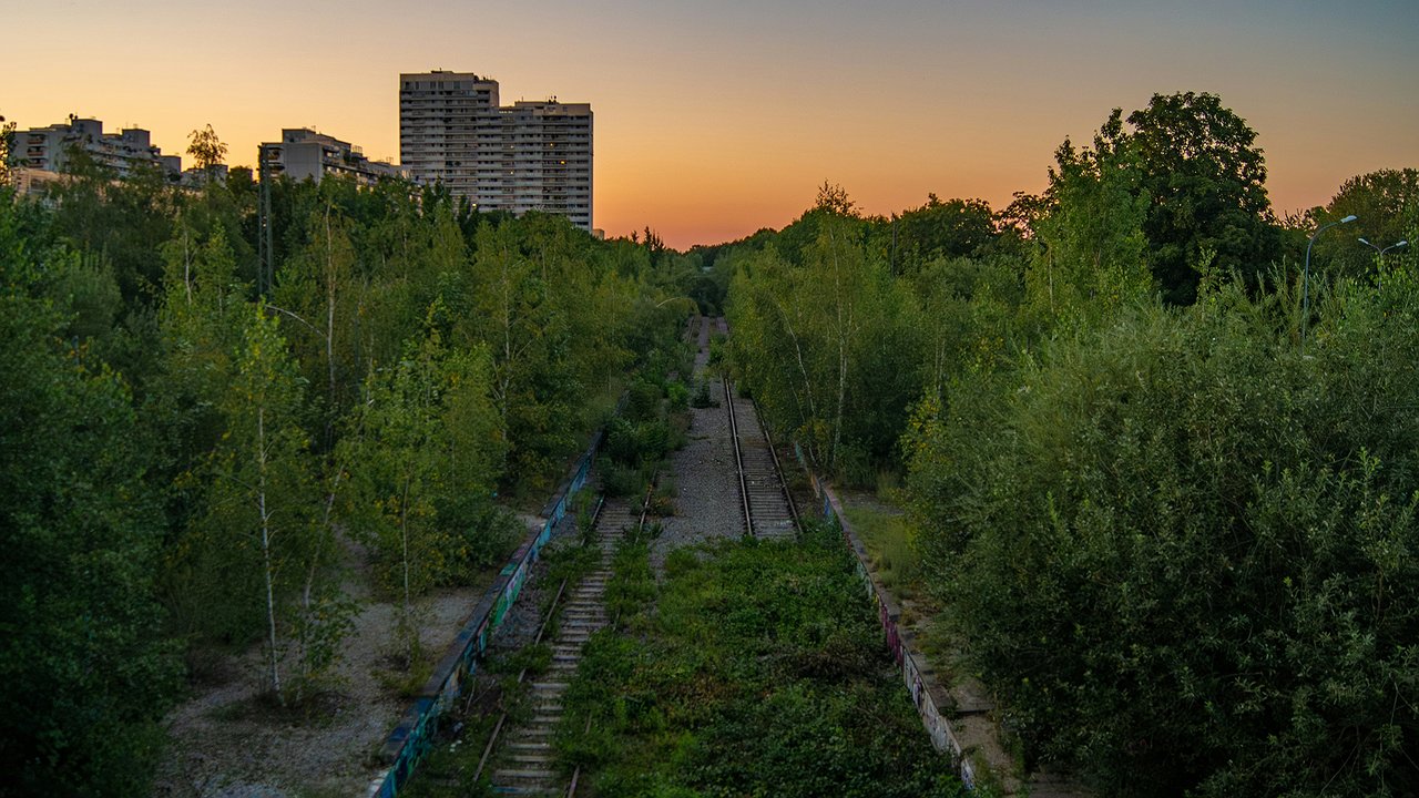 Главная картинка новости: Страдать будем все: Роман Вильфанд назвал точную дату прихода испепеляющей жары в Россию