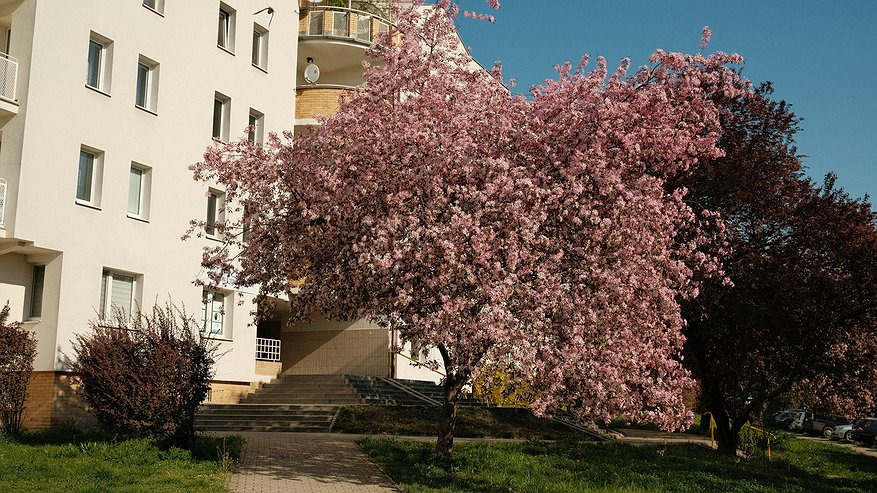 Главная картинка новости: Синоптики сообщили, каким будет апрель в России: подробный прогноз погоды