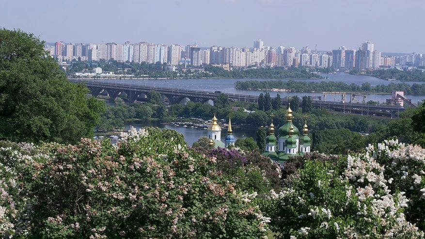 Главная картинка новости: Каким будет лето 2025 после теплой зимы: мнение экспертов о том, что ждёт садоводов