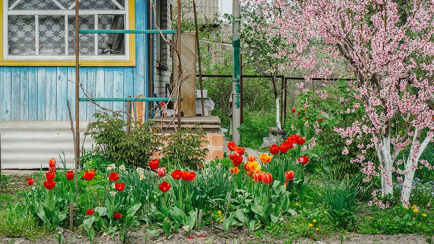 Главная картинка новости: Мощный циклон сорвет все планы: синоптики дали суровый прогноз на майские праздники