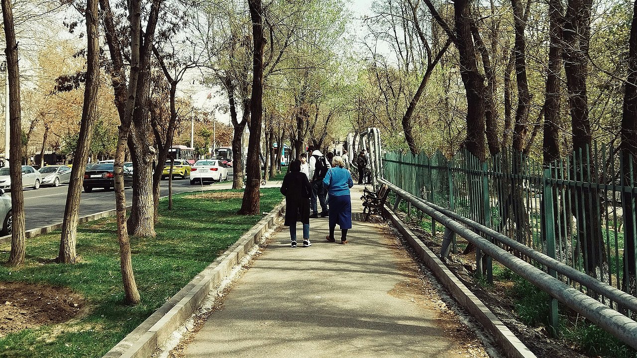 Главная картинка новости: "Май подложит нам всем свинью": синоптики прогнозируют аномальное похолодание в 2025 году