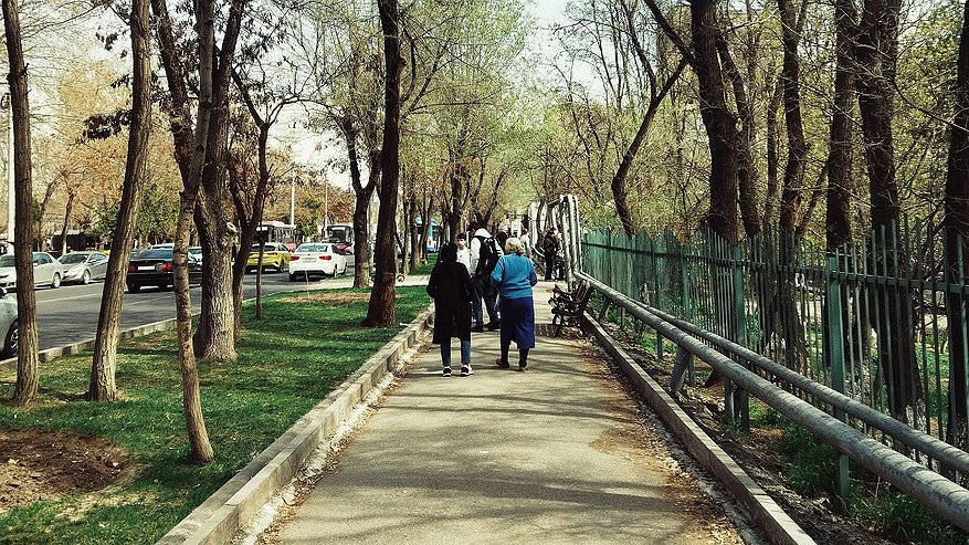 Главная картинка новости: "Май подложит нам всем свинью": синоптики прогнозируют аномальное похолодание в 2025 году