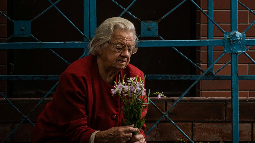 Главная картинка новости: Пенсионную реформу поставили на паузу: выходим на пенсию в 2025 году по старым правилам