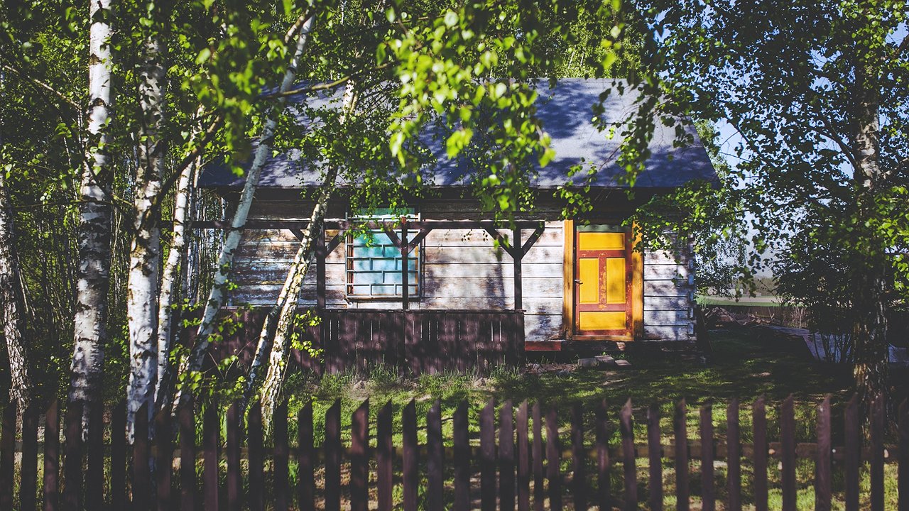 Главная картинка новости: Эта дешевая крупа превратит бетонную почву в чернозем: экономно и действенно