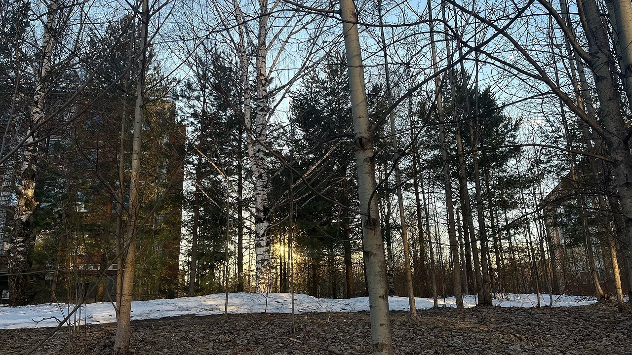 Главная картинка новости: В Калужской области ожидается потепление до +16