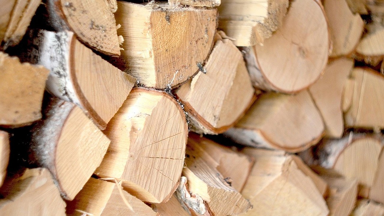 Главная картинка новости: В Калужской области мужчину отправили на работы за самовольную вырубку деревьев