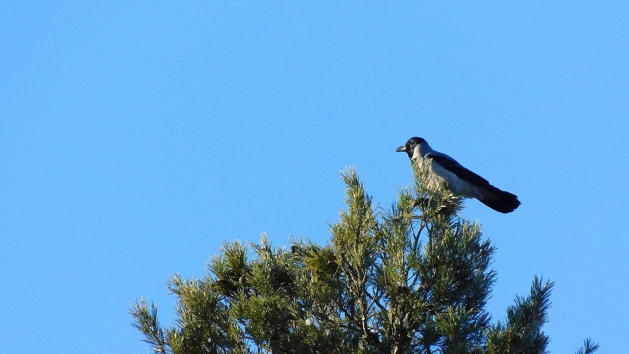 Главная картинка новости: Апрельские ночные заморозки ожидаются в Калужской области
