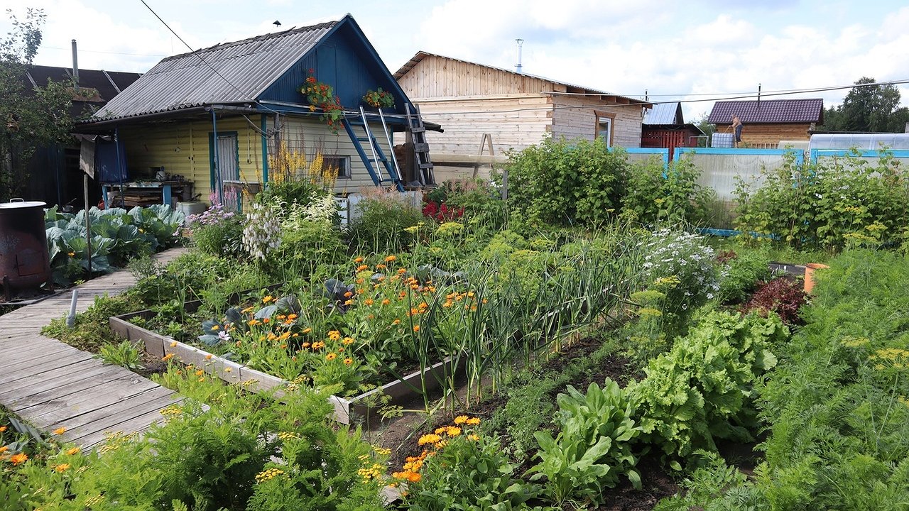 Главная картинка новости: С 3 мая баня под запретом: приняли новое решение для всех россиян, у кого есть дача или участок - новые штрафы