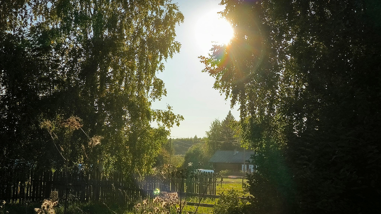 Главная картинка новости: Озеленение Калуги начнется уже через неделю