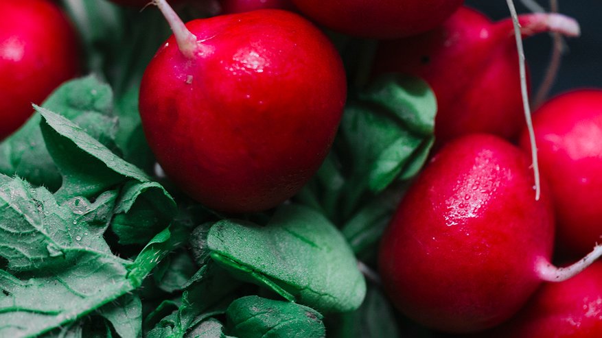 Главная картинка новости: 5 ложек на ведро — и редис попрет как на дрожжах: вырастет крупным и сочным — мощная подкормка