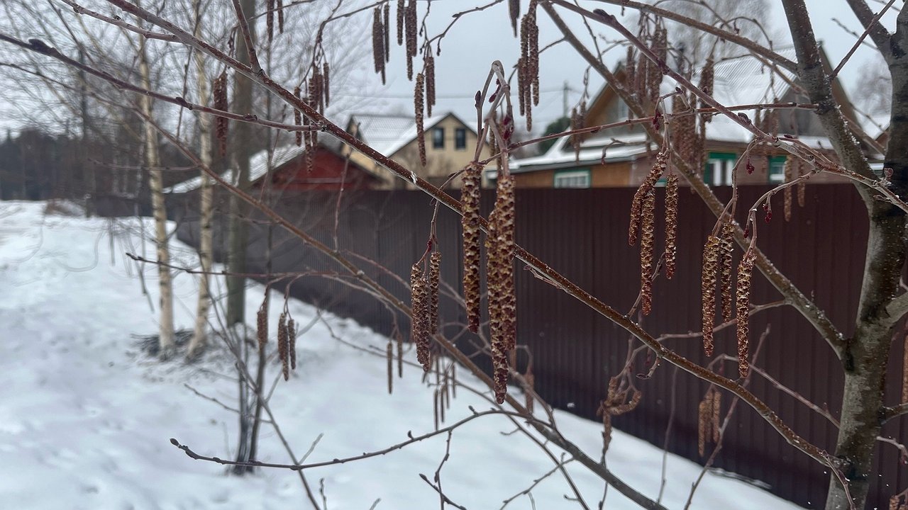 Главная картинка новости: Холода никуда не уйдут: синоптик озвучил даты, когда можно высаживать рассаду