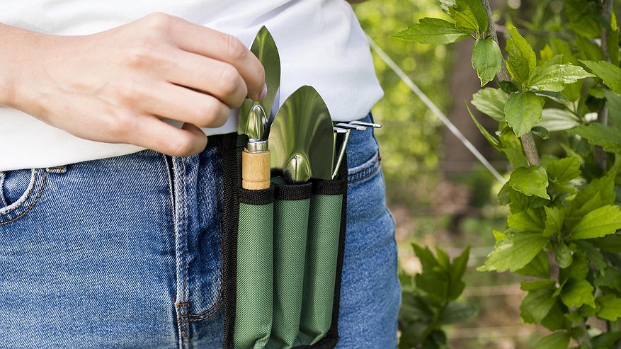 Главная картинка новости: Лучше бархатцев: сажаем под яблоней всего 3 невысоких кустика — муравьи с тлей все лето обходят дерево за версту