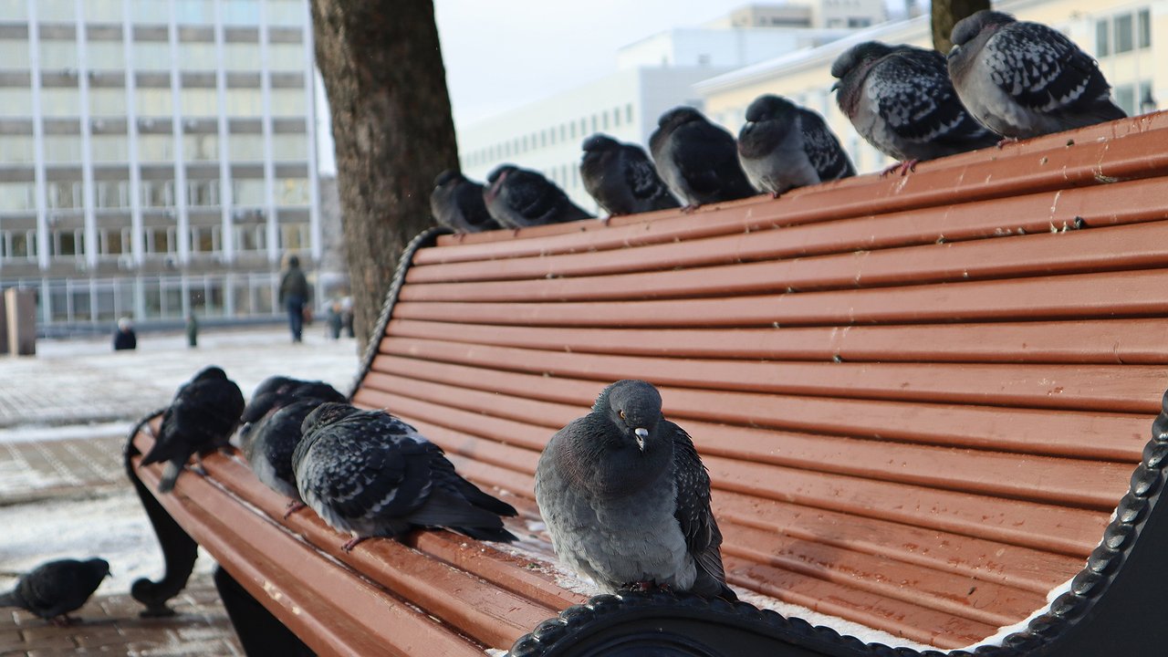 Главная картинка новости: Россиян ждет самый холодный май за 140 лет: синоптики обновили прогноз погоды на месяц