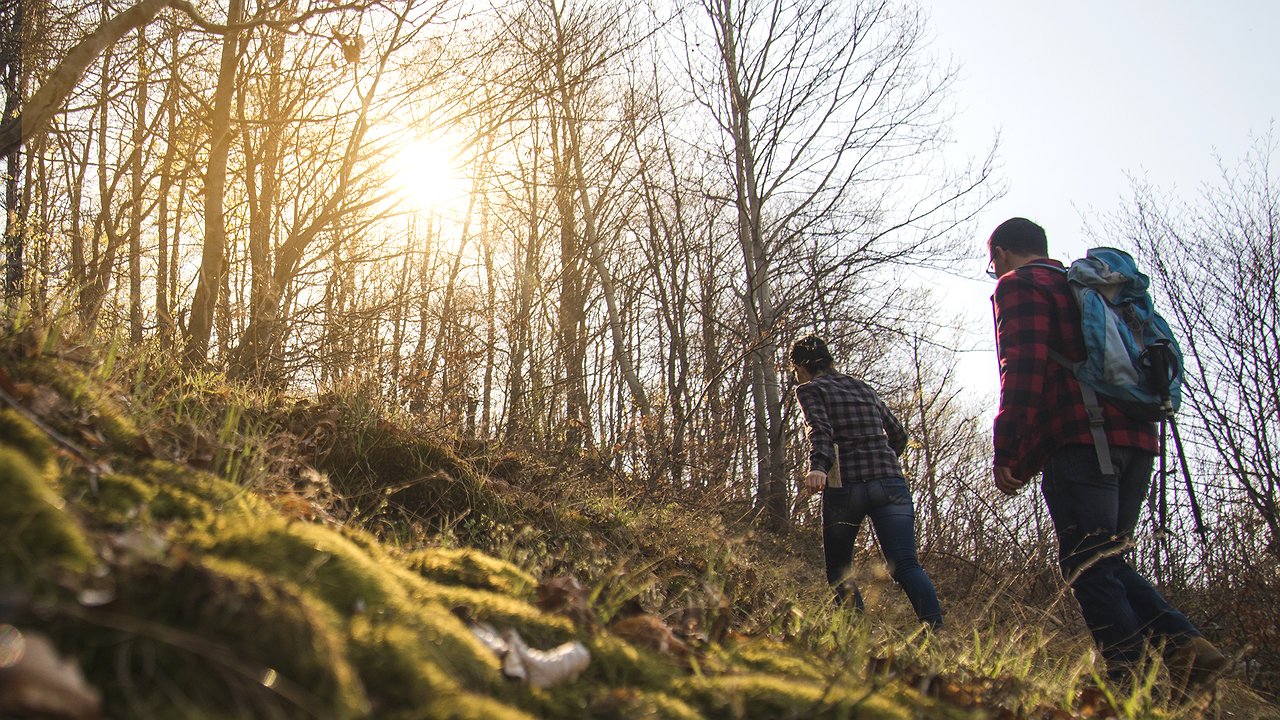 Главная картинка новости: Эту хозяйственную мелочь — в поход обязательно: и от клещей защитит, и рану поможет прочистить