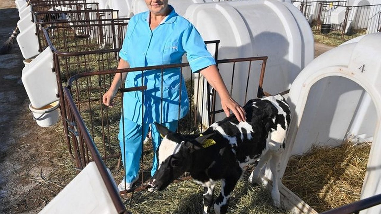 Главная картинка новости: Калужская область получила рекордные 1,5 миллиарда рублей на развитие сельских территорий